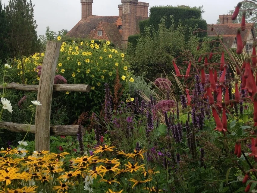 A view of the house from the orchard garden, September 2013