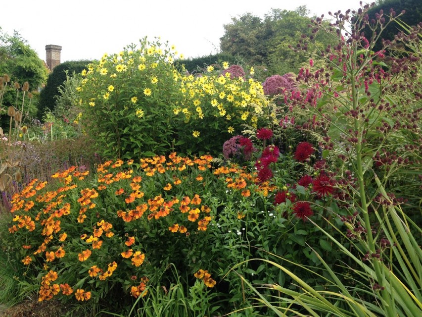 one of my favourite sections of the long border in September 2013