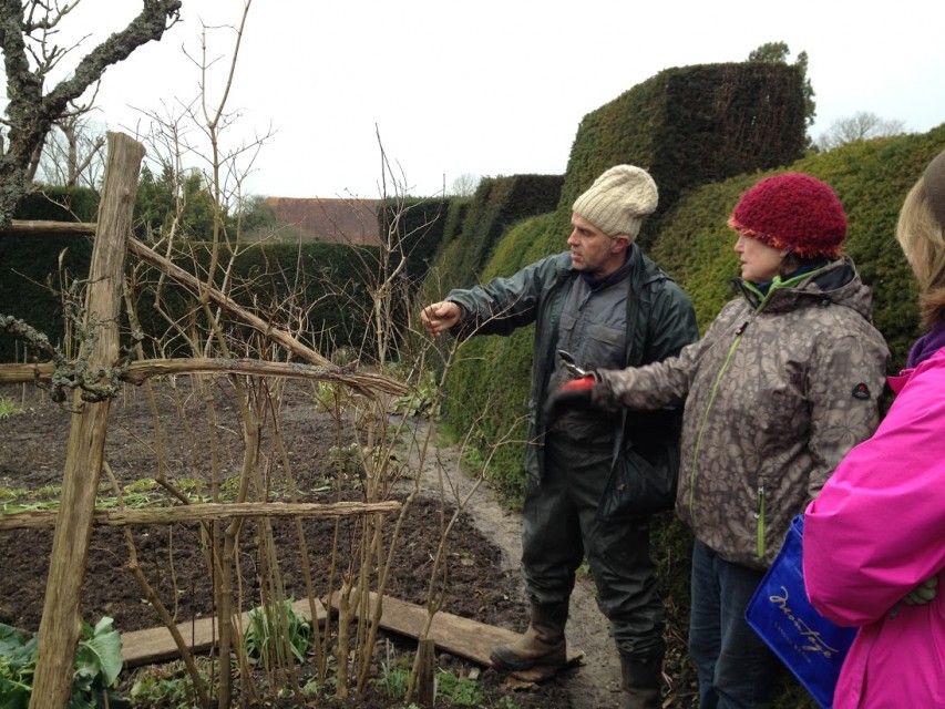 pruning demonstration