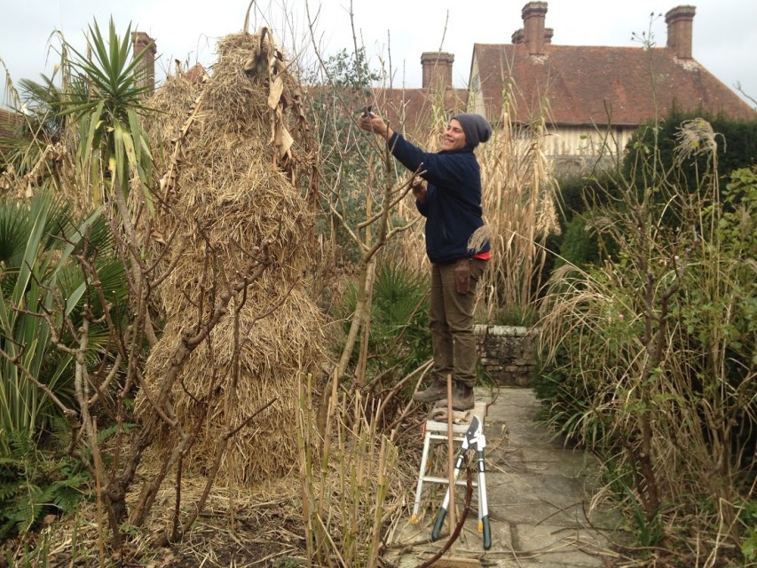 Maria pruning in the exotic garden