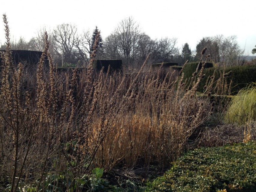 ‘before’ in the orchard garden
