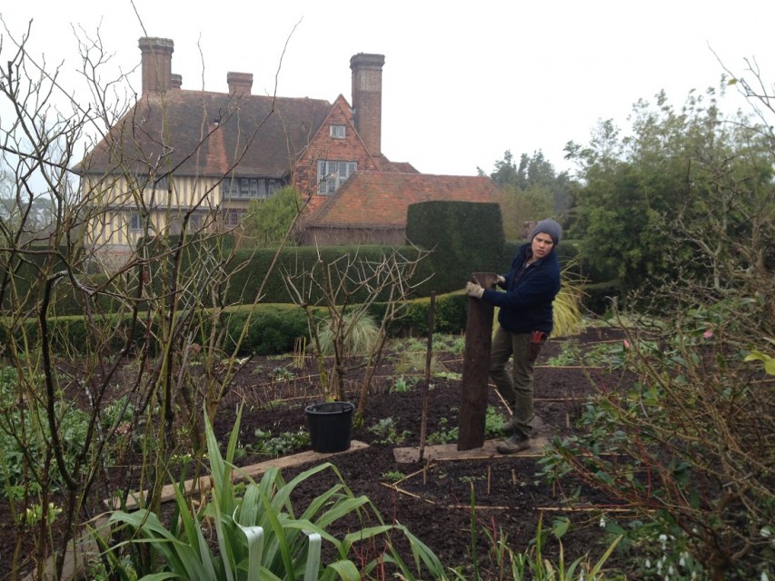 working in the orchard garden