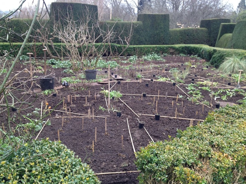 ‘after’ - the bare bones of the orchard garden, everything labelled and marked