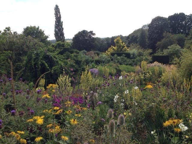 the orchard garden in July 2015