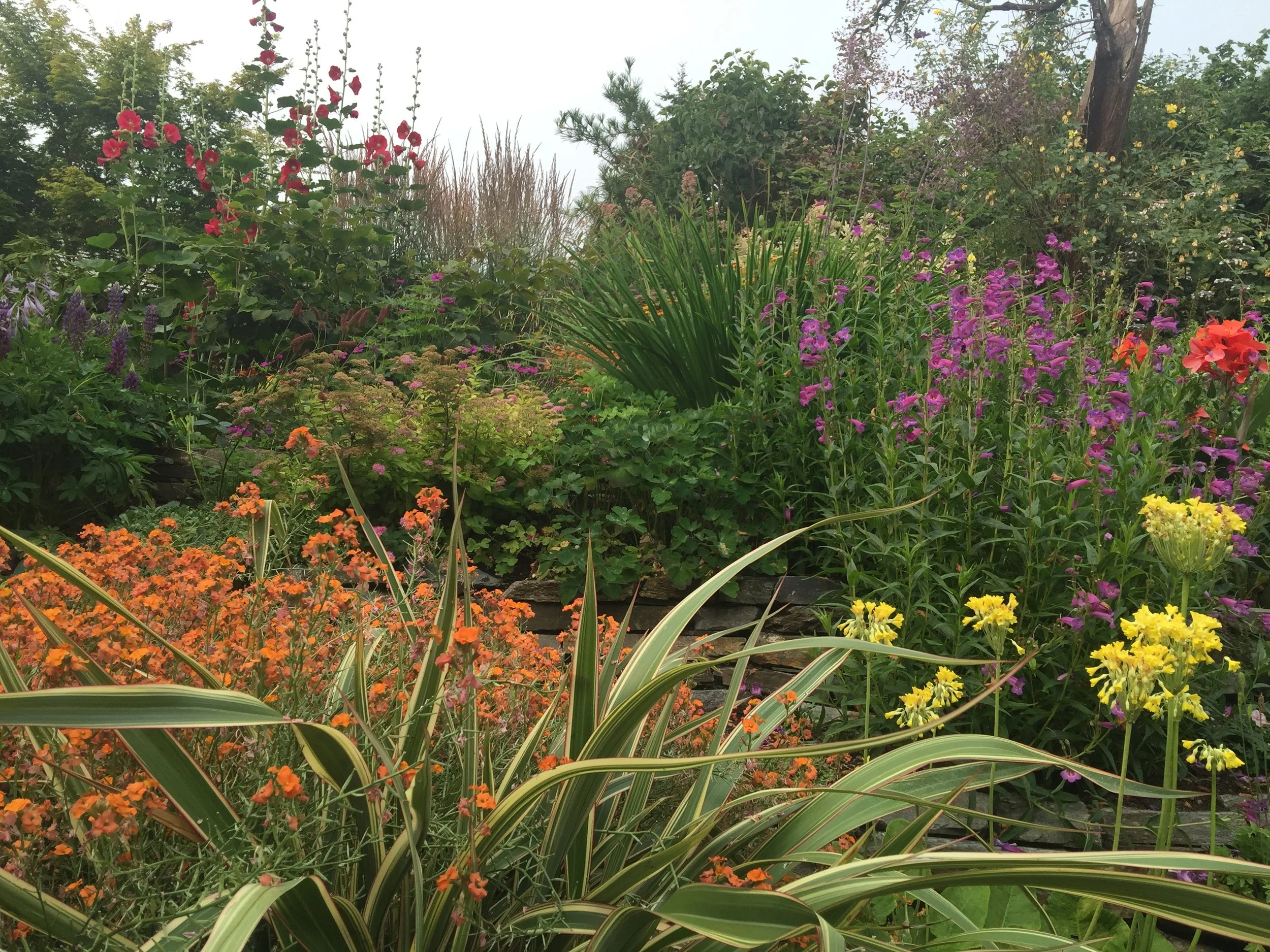 slideshow 6.july.JPG