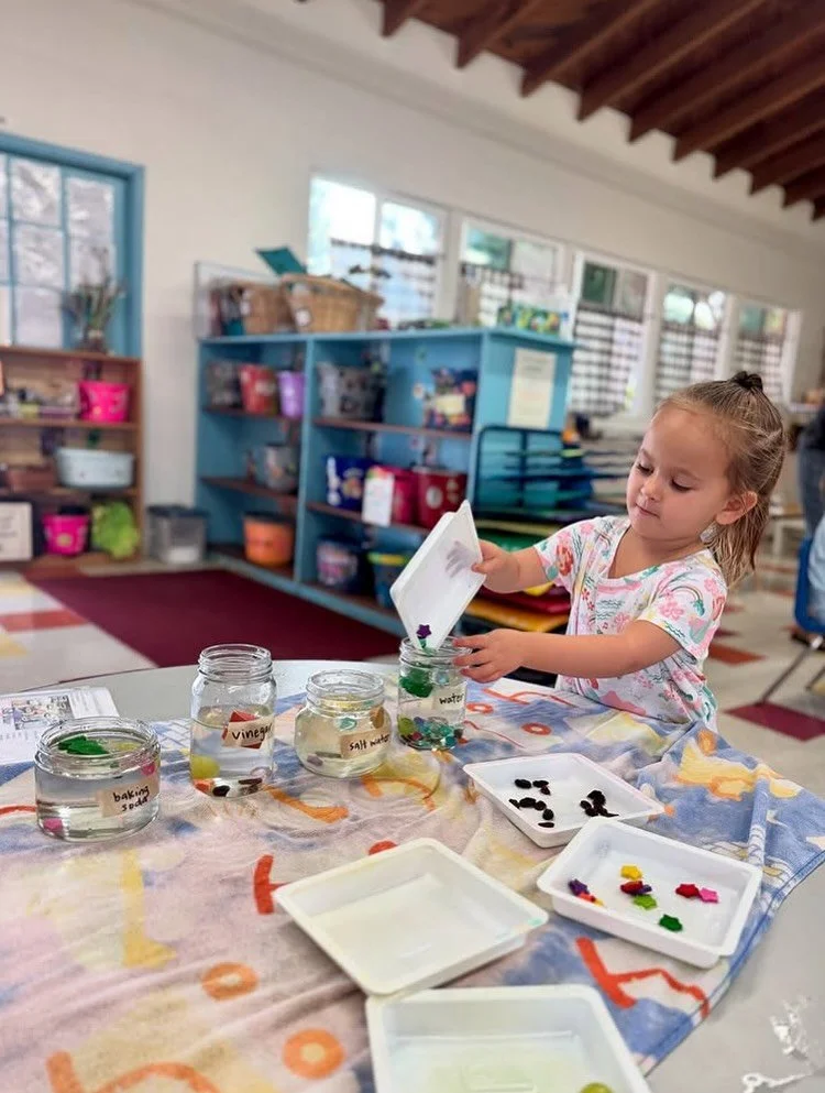 September roundup! School is officially back in session for our member schools and fall is in the air! Check out all of the learning that has been happening! Science, cooking, painting and so much more! #cooppreschool #playactivatedlearning #fallacti