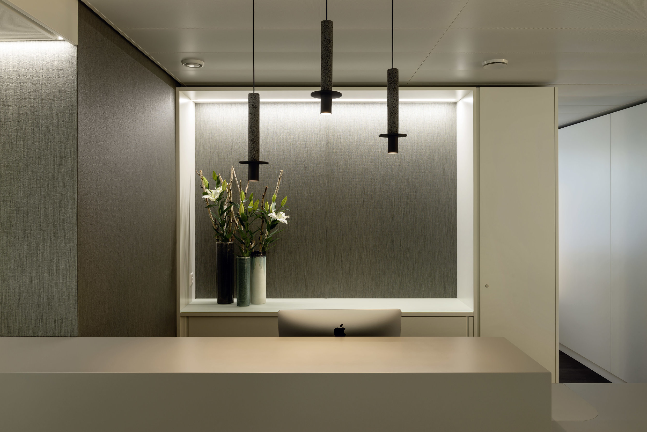 Iria Degen Interiors_Practice_Zurich_02.jpg