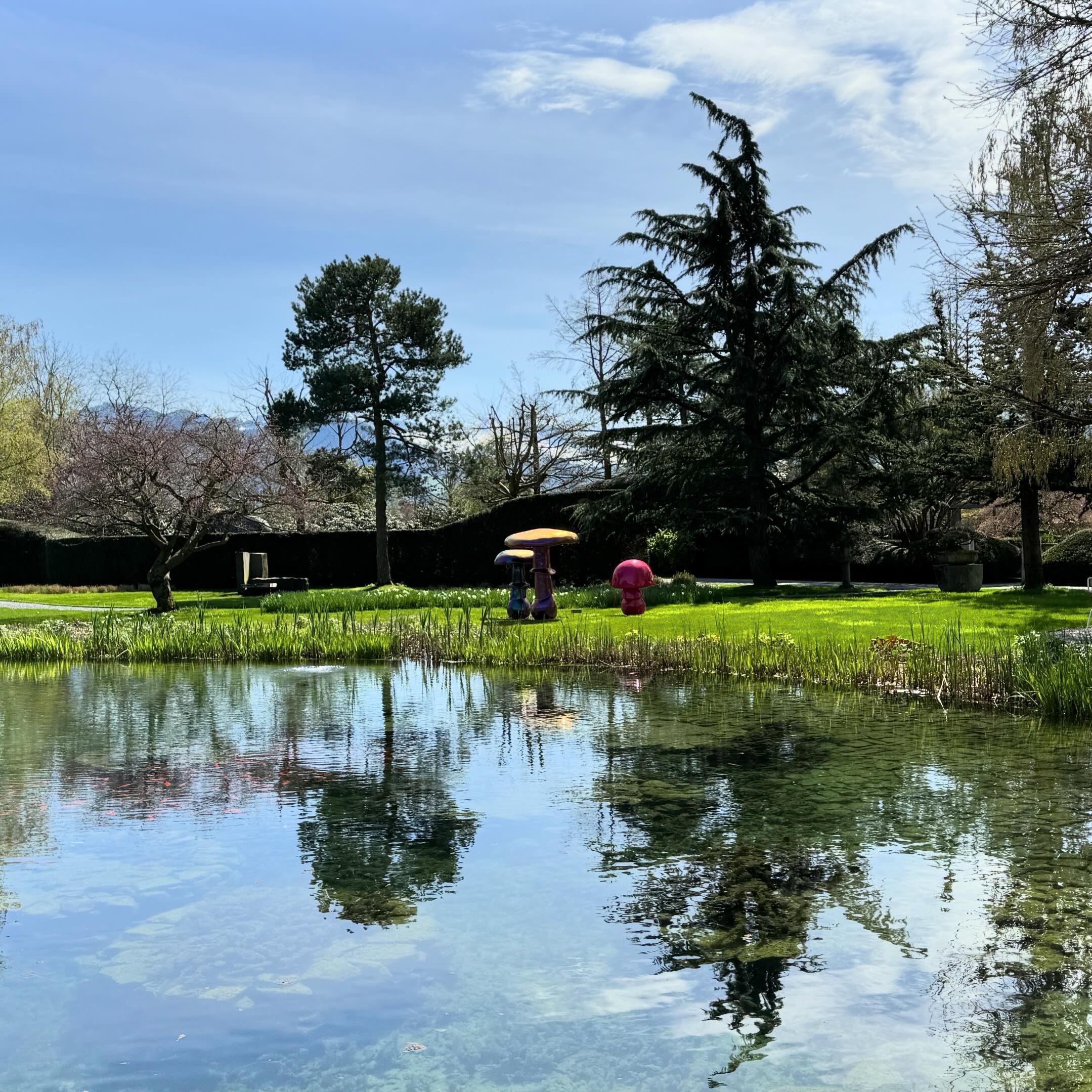 sometimes our meetings lead us to magic places like this one @enealandscapearchitecture #baummuseum #enea #enzoenea #rapperswiljona #garden #landsacpe #landscapeart #art #magicplaces #meeting #inspiringlocations