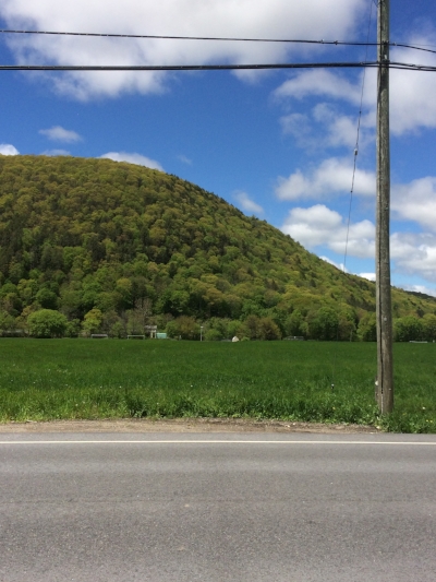 With few switchbacks this climb is relatively steep.