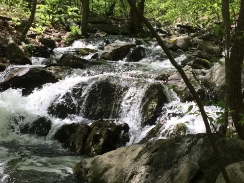 The rains of the past week made the stream crossing a bit dicey.