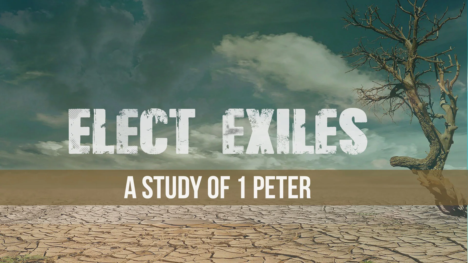 Elect Exiles 2107 Redesign.jpg
