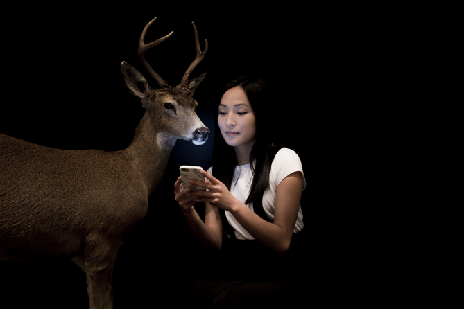MoV Wild Things Promo_23 copy.png