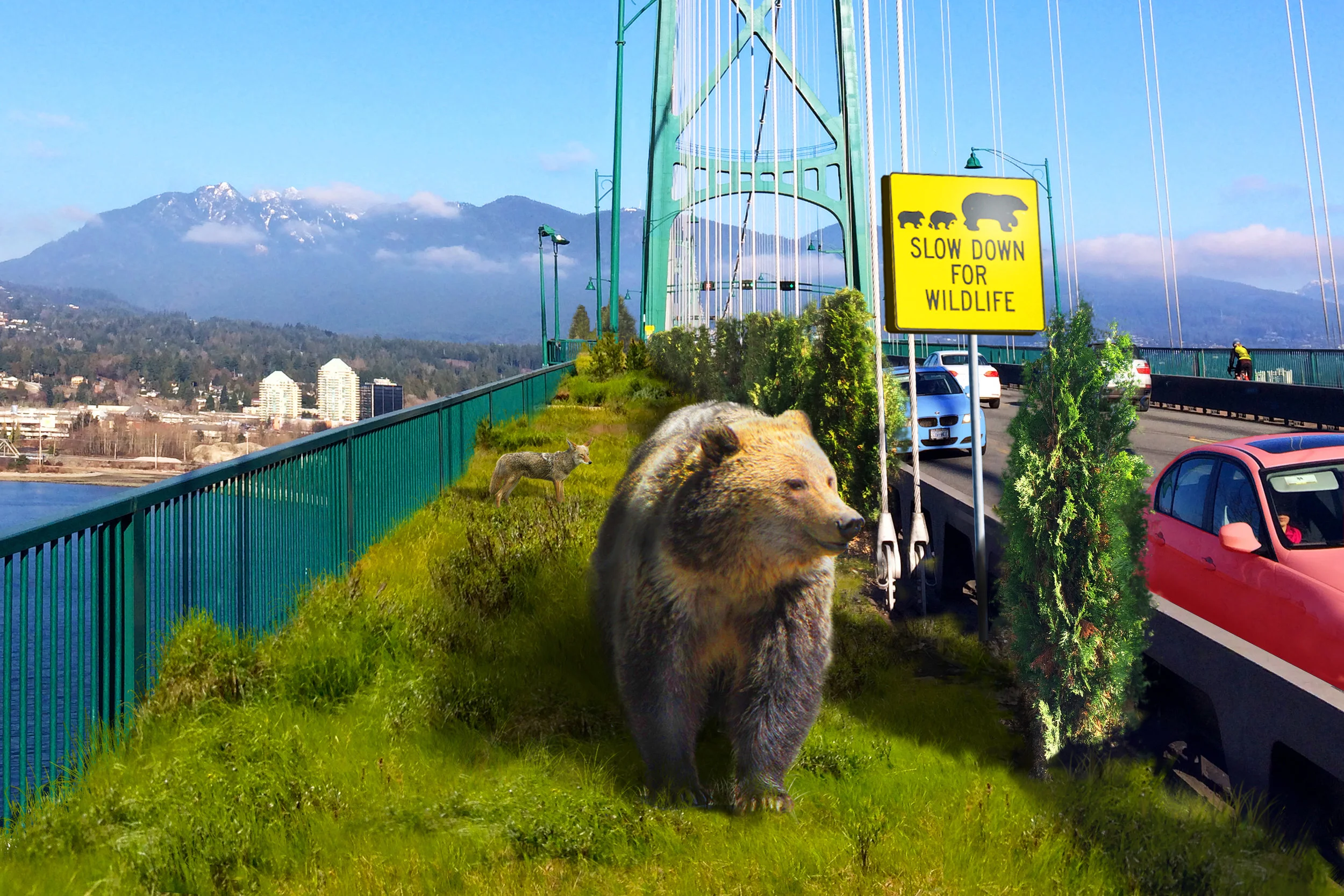 lions gate wildlife corridor B -horizontal.jpg