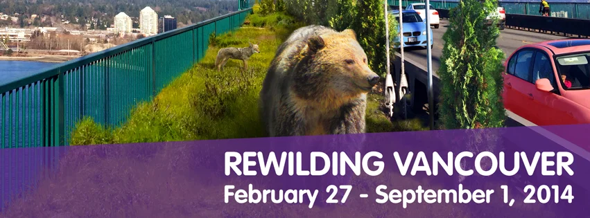 rewidling-facebook-banner.jpg