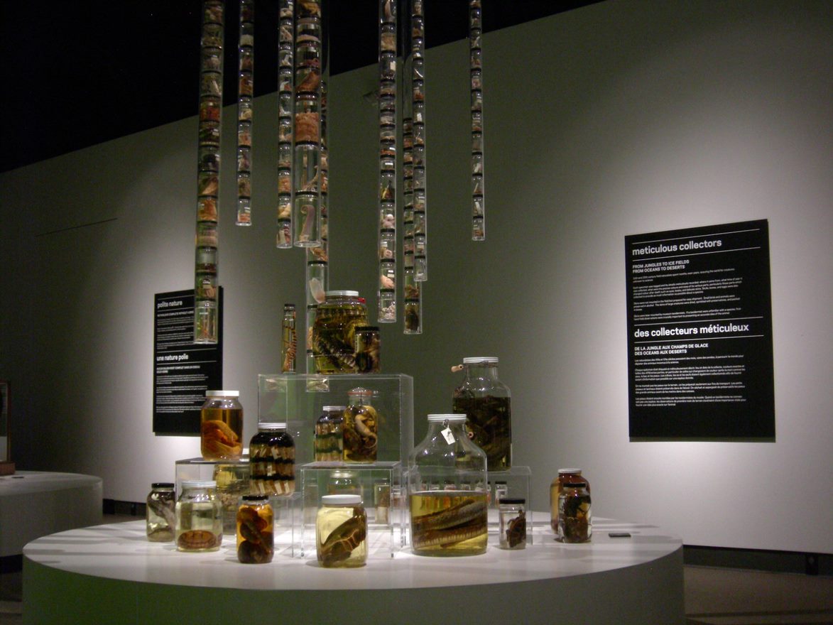 thumbnail (23).jpg