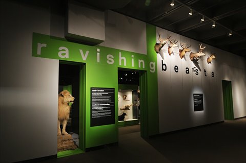 thumbnail (27).jpg