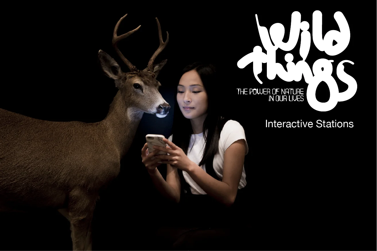 Wild Things - Interactive Stations.jpg