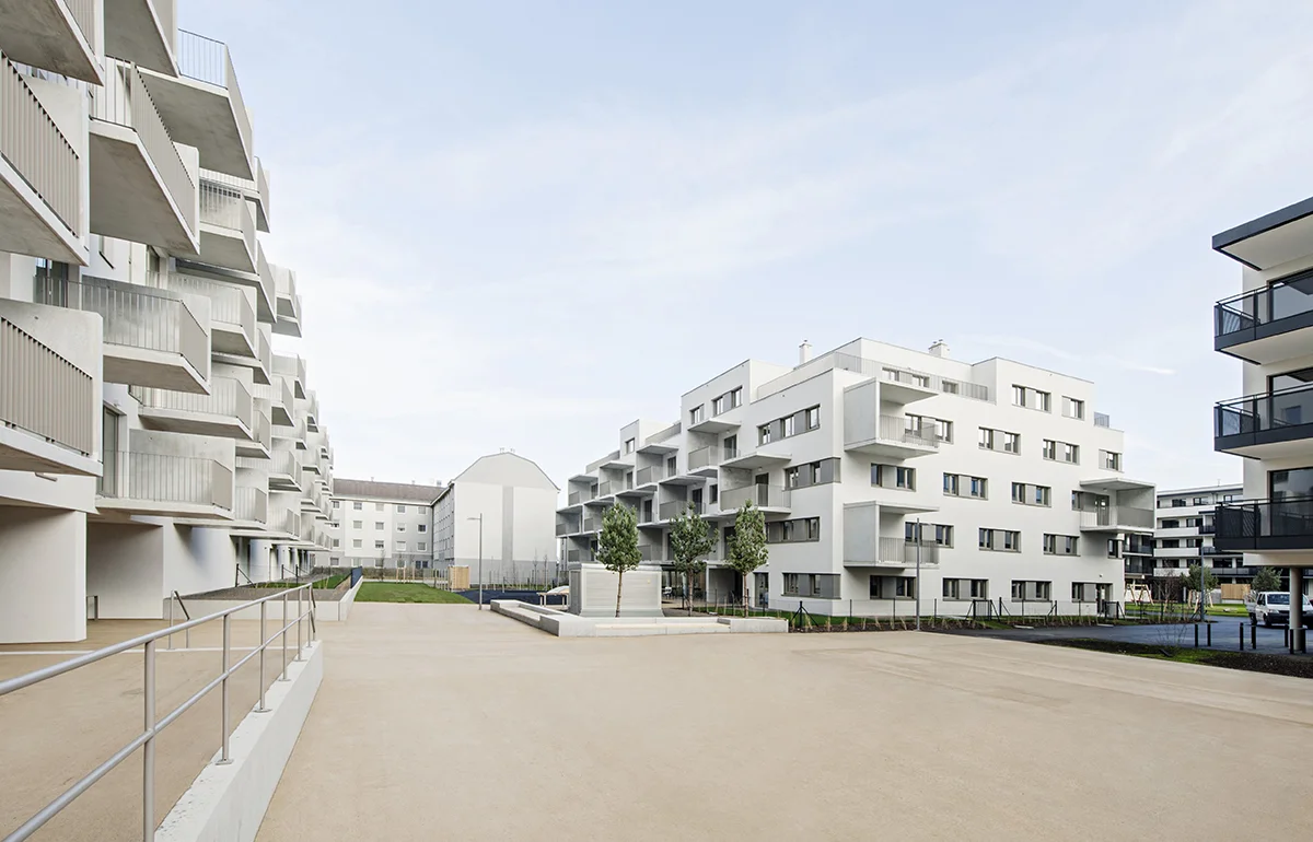 vienna 3 colour_0.jpg