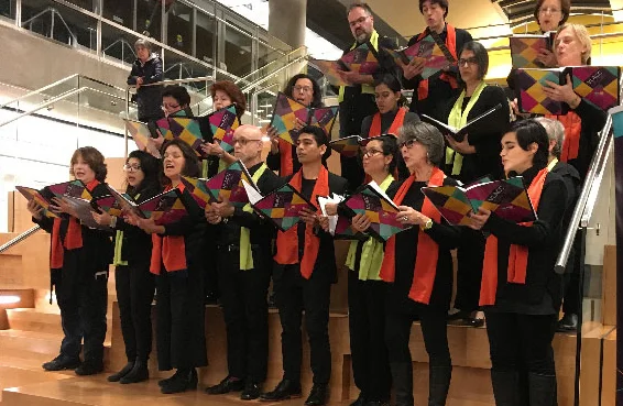 canto vivo.jpg