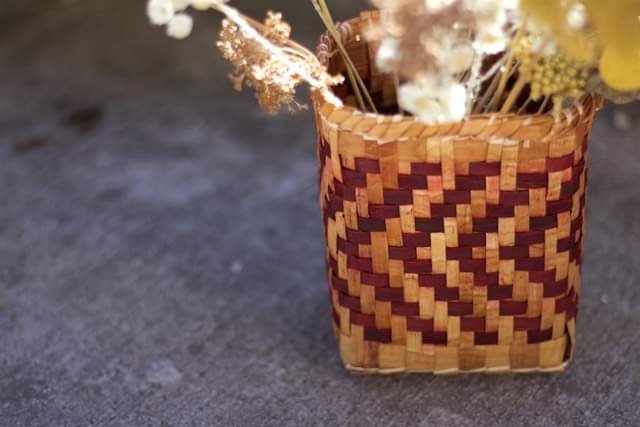 Red Cedar Woman (1).jpeg