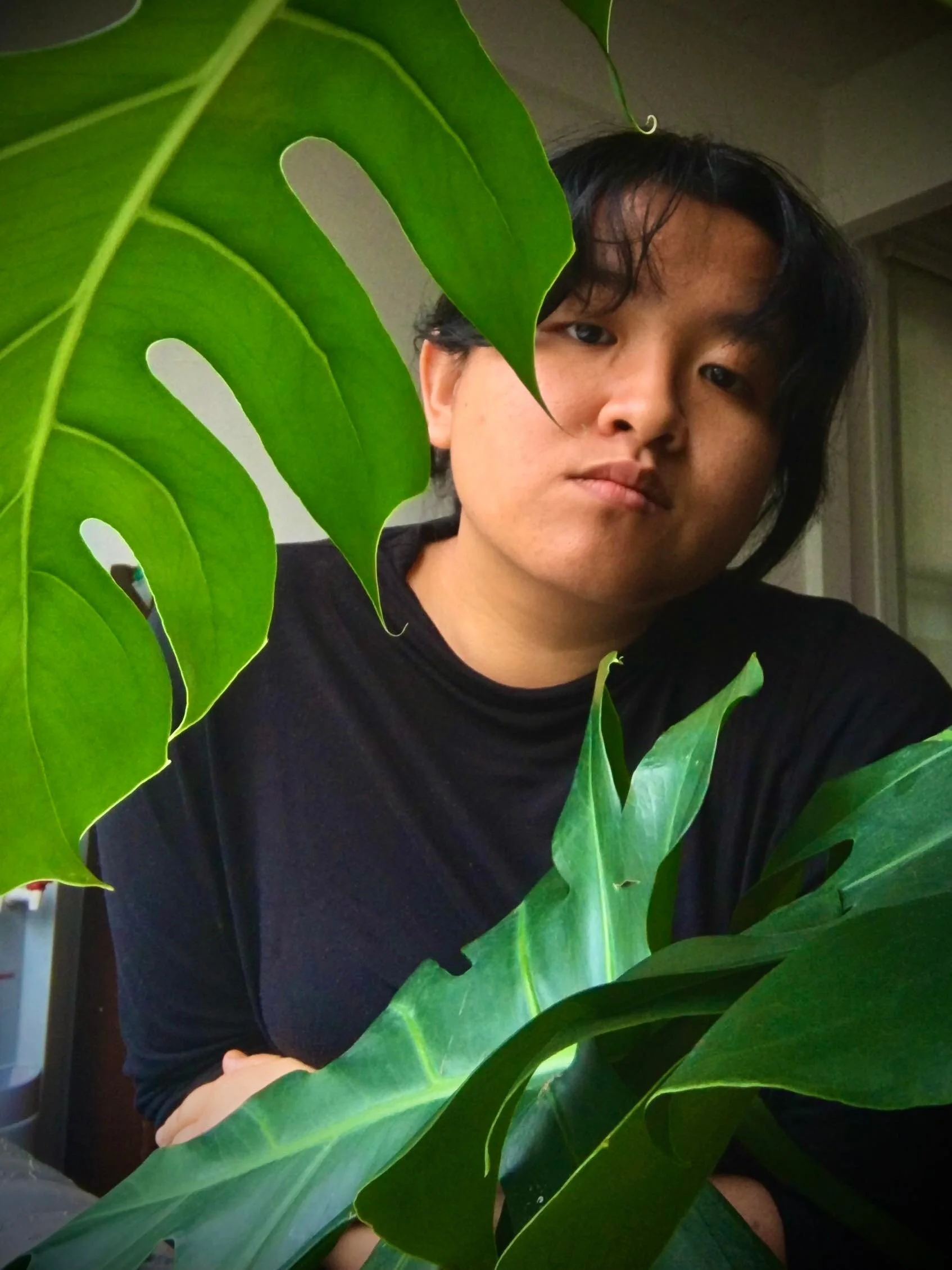 Han_Headshot - Hân Phạm.jpg
