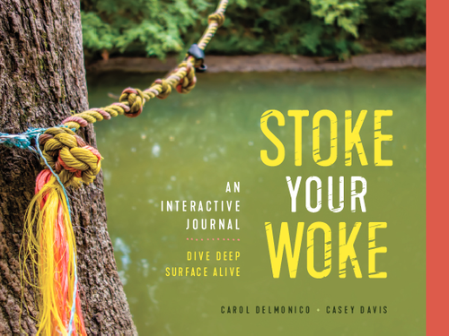 Launching a Book into the World!