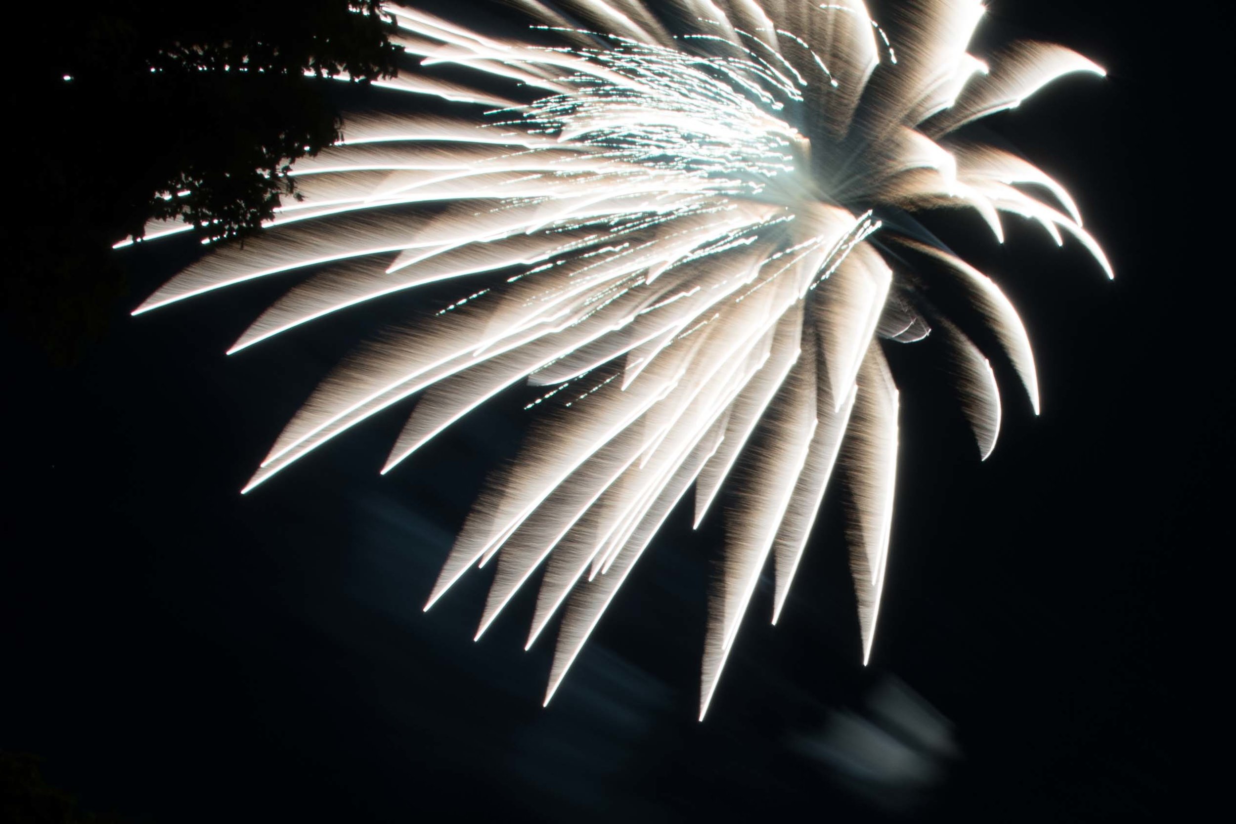 4thofJuly (11 of 1).jpg