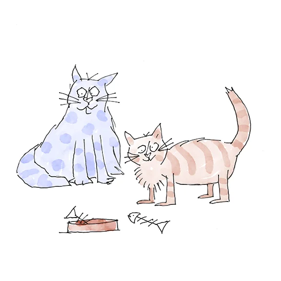2gatos72.jpg