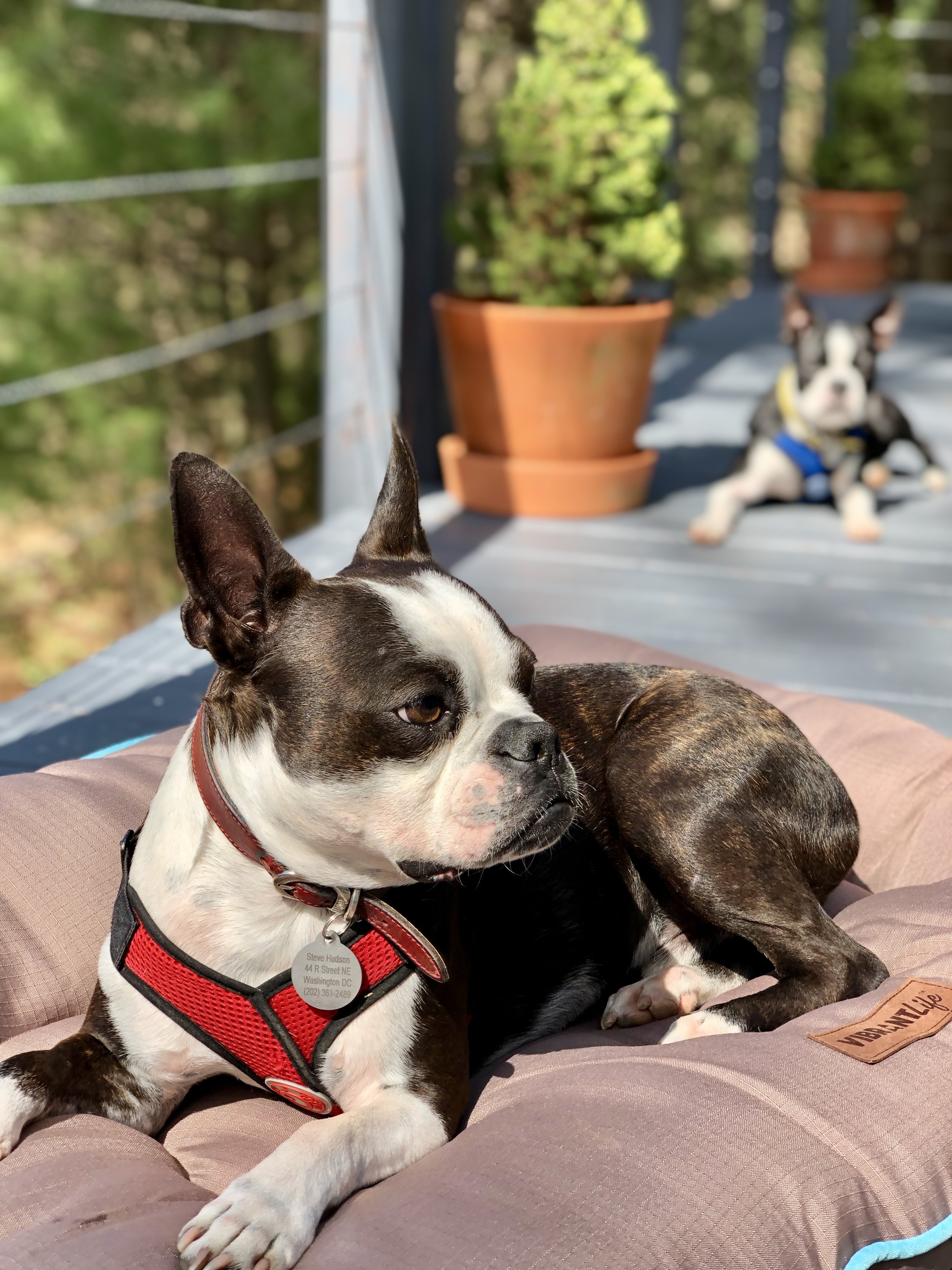 Take in the afternoon sun on the deck...