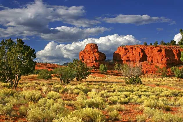 new mexico