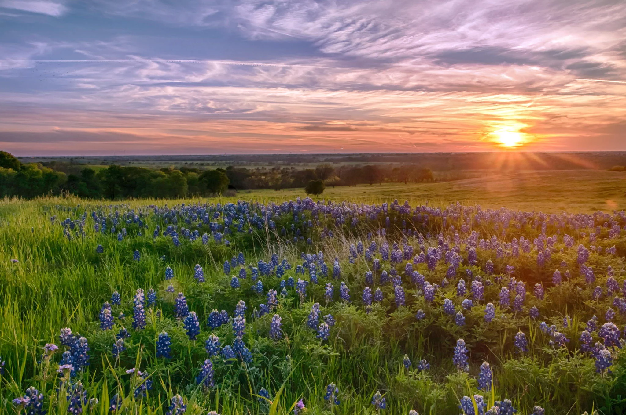 texas