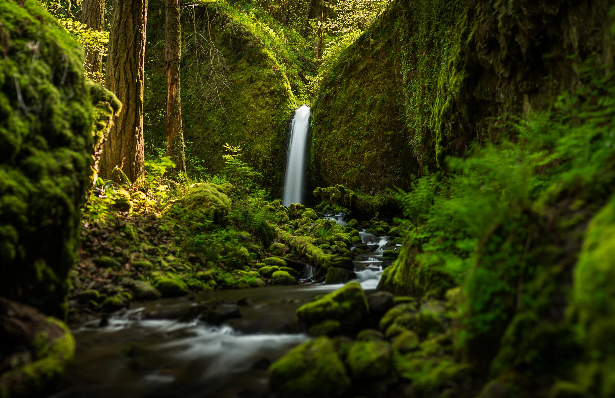 oregon