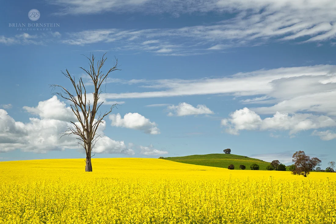 saskatchewan