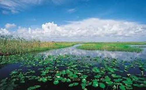 Everglades National Park