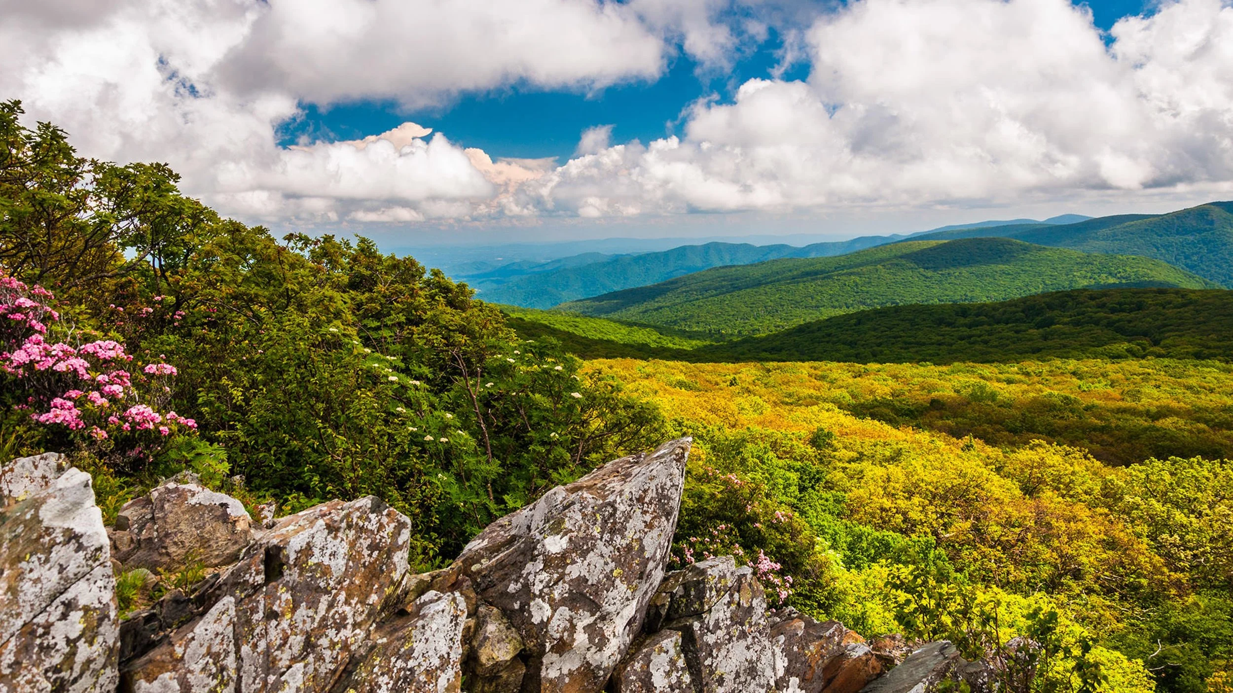 Shenandoah National Park