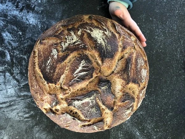 ISOLATION BREAD | the local food report