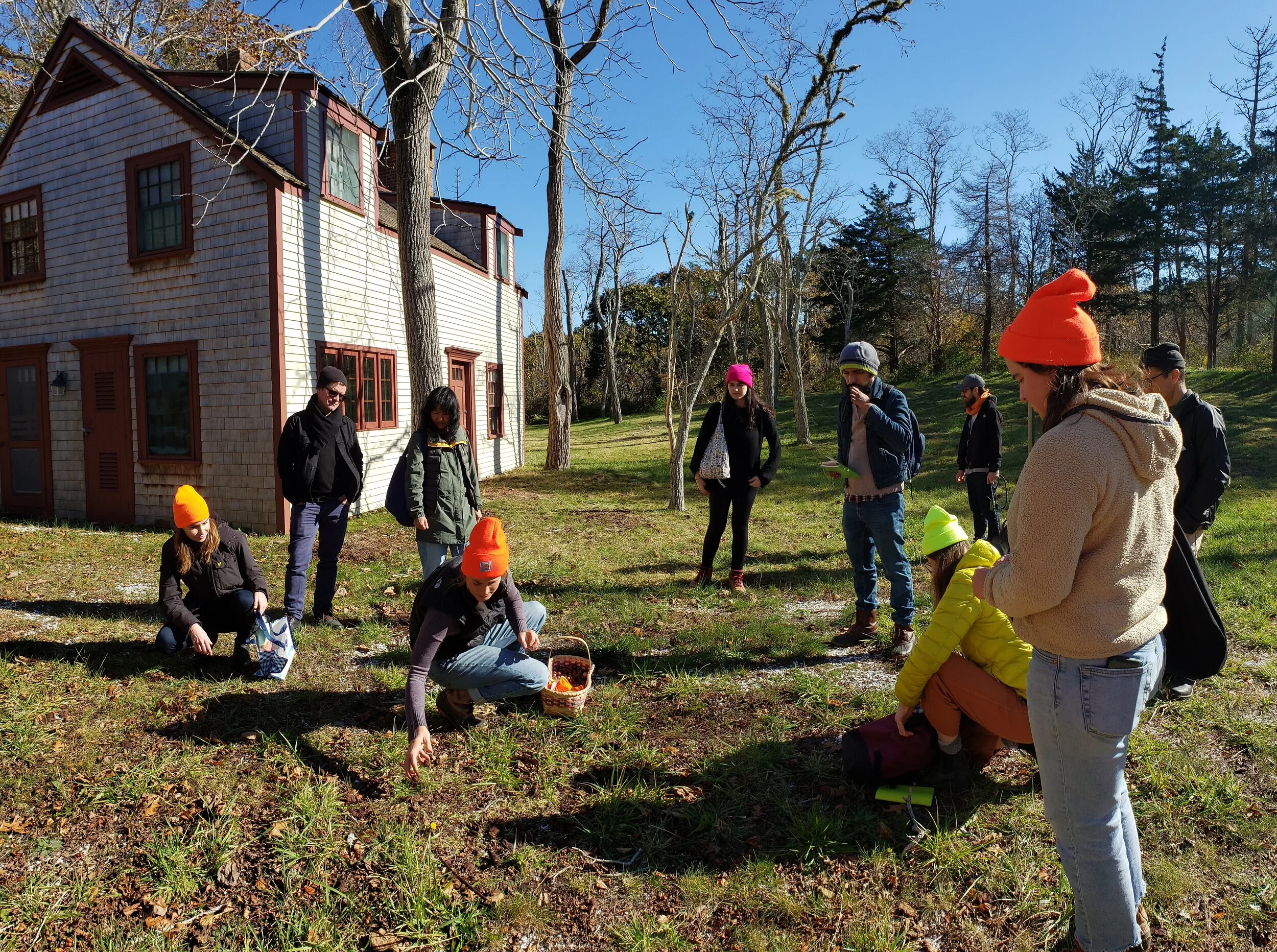 Foraging Walk & Book Talk