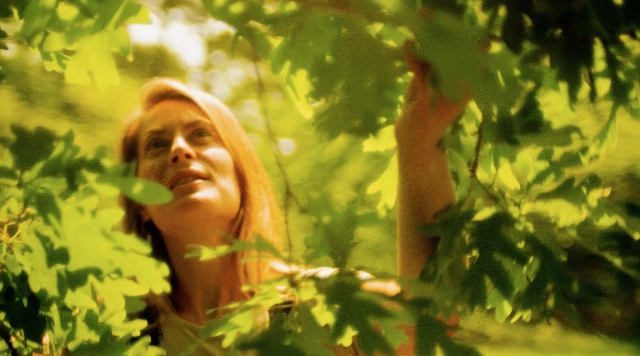 Book Talk at the UU Fellowship