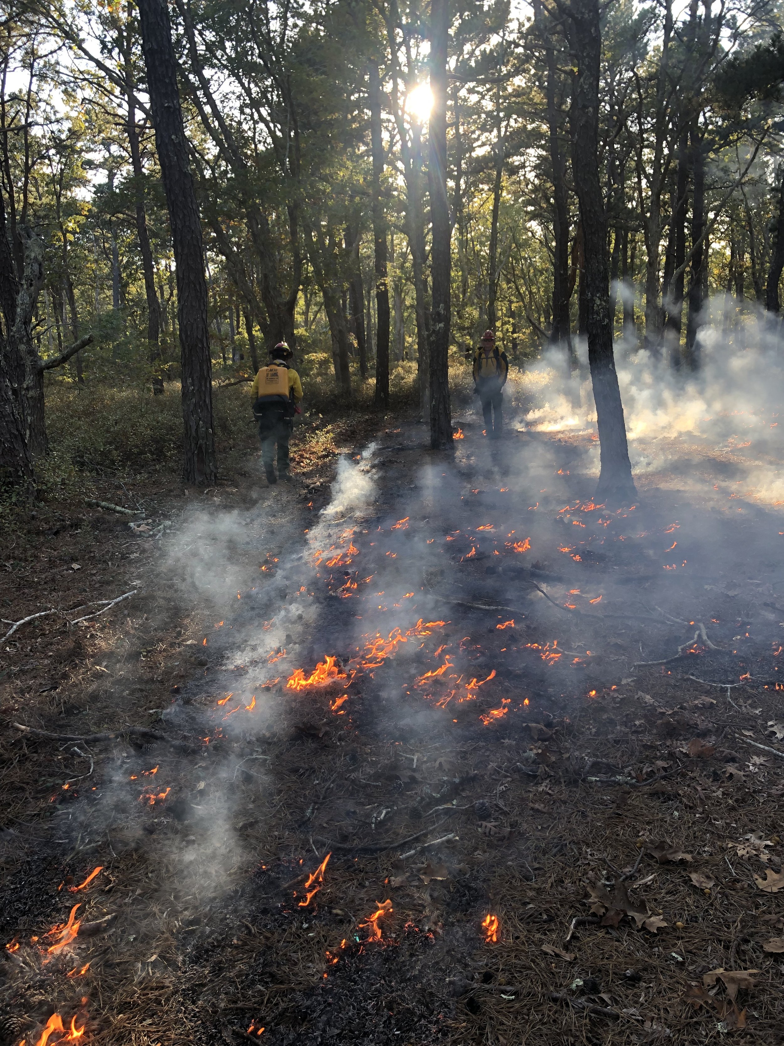 Wildland Fire Training