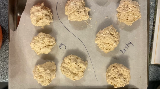A winter quest for the perfect biscuit