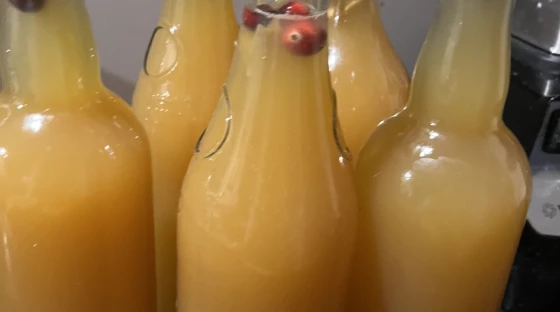 Make your own fermented drinks
