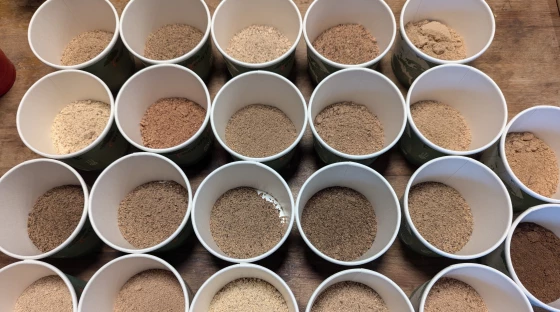 Lessons in nut processing from Appalachia