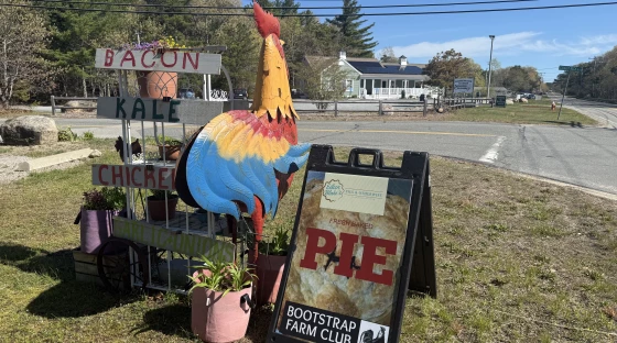 Growing a local food hub 