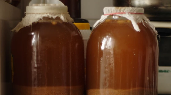 A fizzy fermented drink made from leftover bread