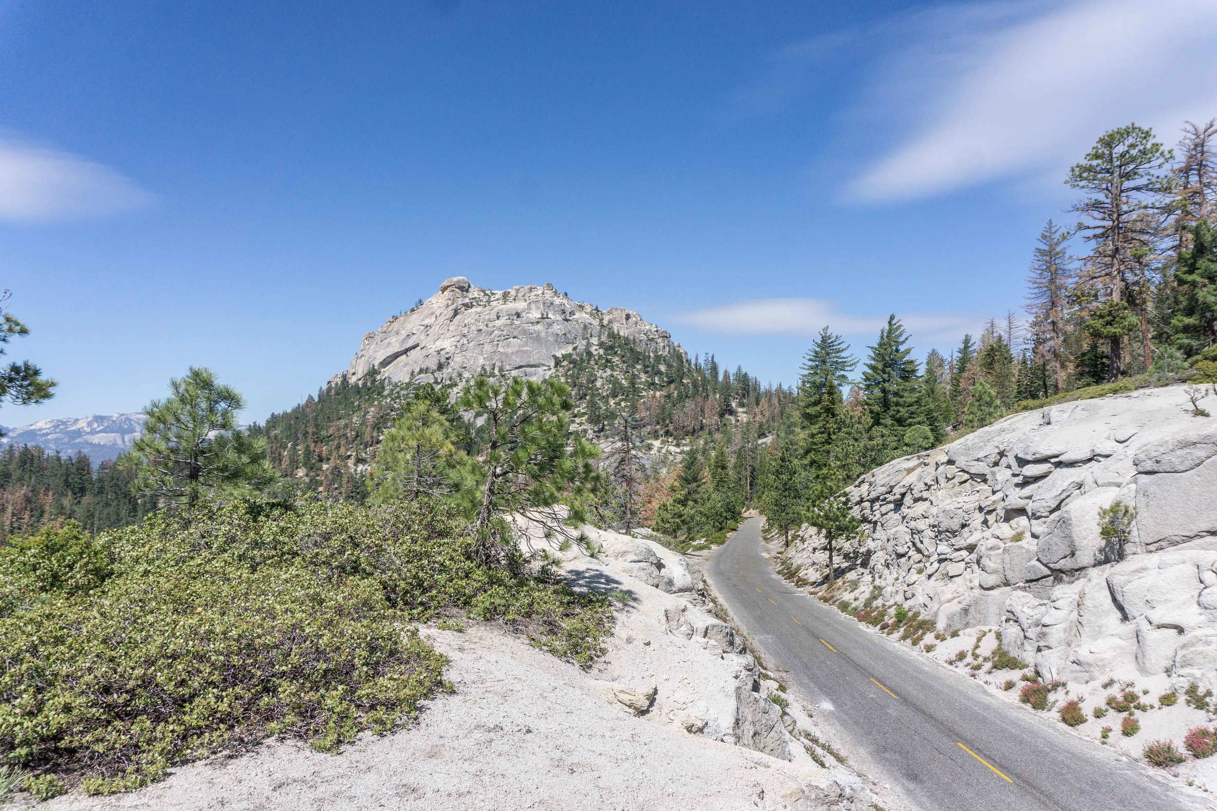 Viajes por carretera en California: mejores recorridos en el estado