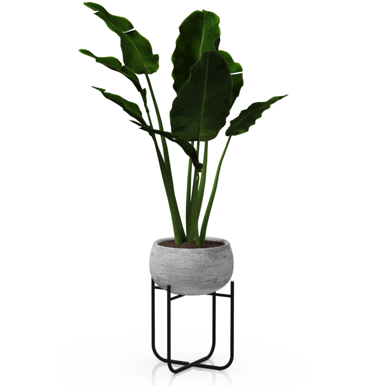 Screenshot 2026-01-10 at 3.56.35 PM.png