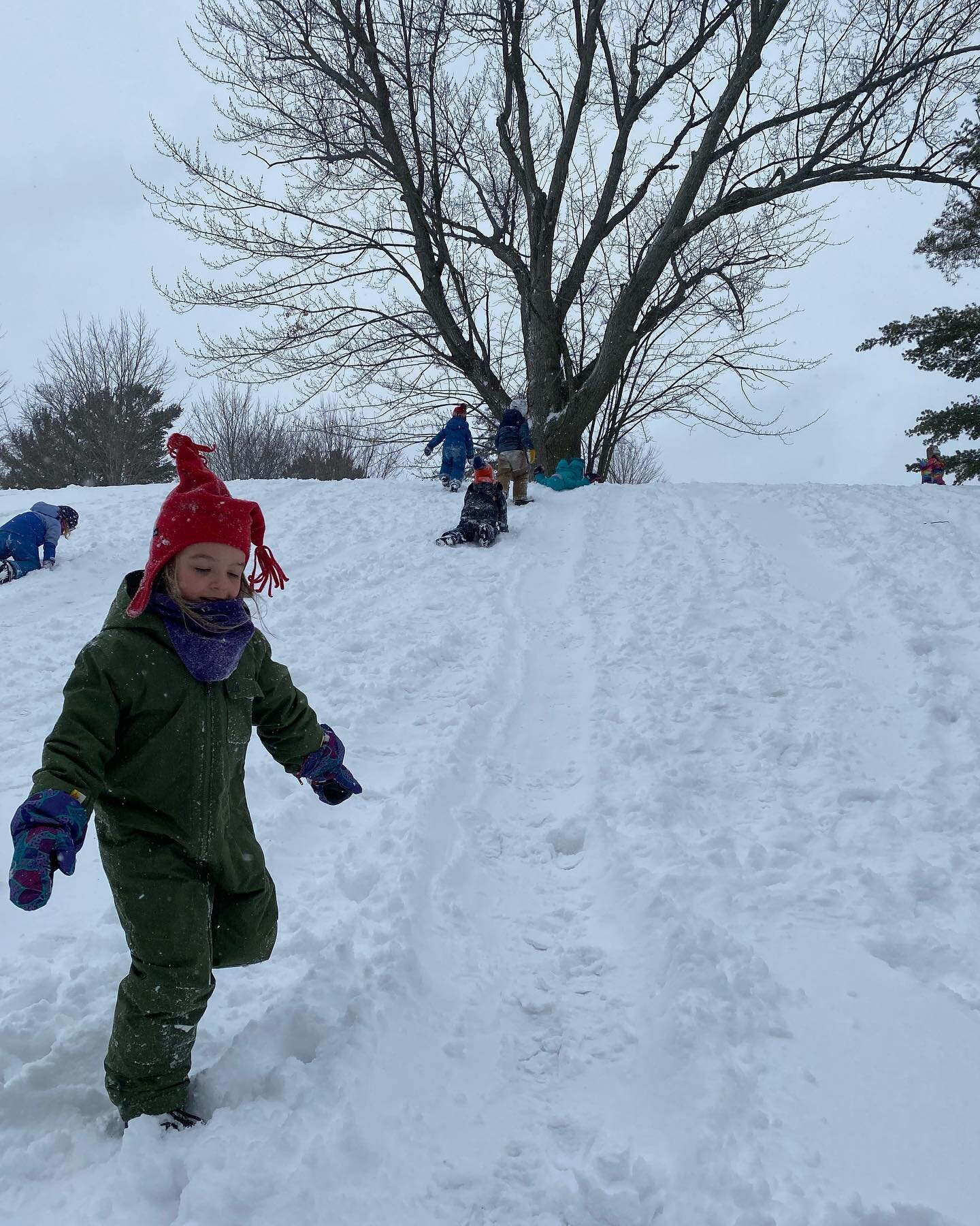 SNOW ❄️ Oh - we do love the snow! Bundle up and go out and play!
.
.
.
#naturekindergarten #rowantreechildrensschool #playbasedlearning