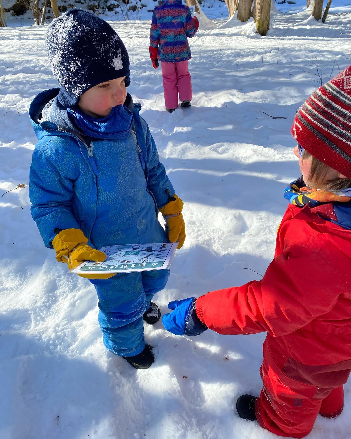 A winter themed scavenger hunt is a good way to keep warm on a cold day!
.
.
.
#naturekindergarten #forestschool #rowantreechildrensschool
