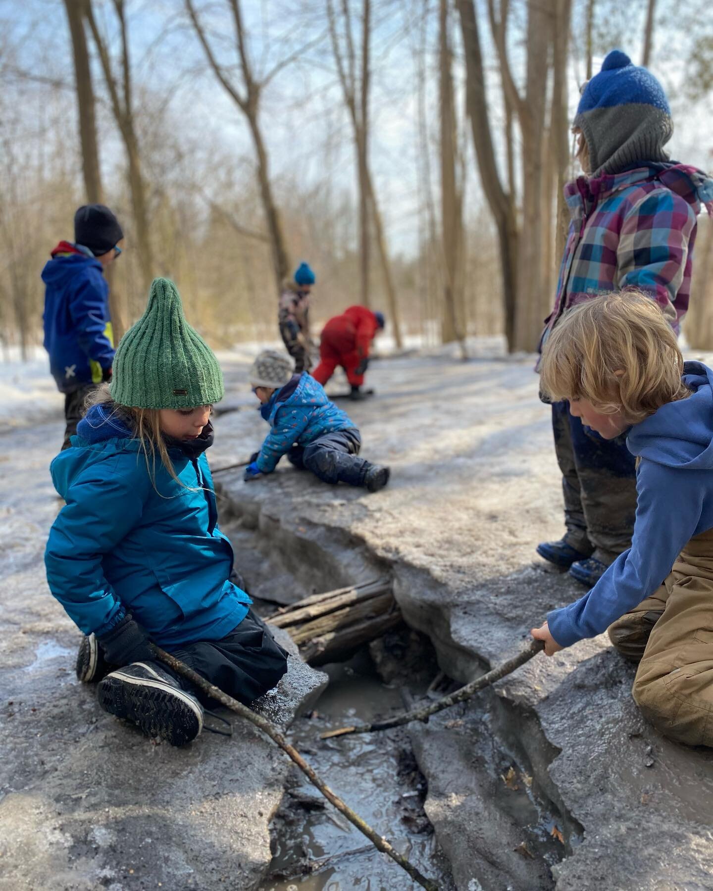 Where mud and melting ice meet, there is fun to be had!
.
.
.
#naturekindergarten #forestschool #forestkindergarten #rowantreechildrensschool #playbasedlearning