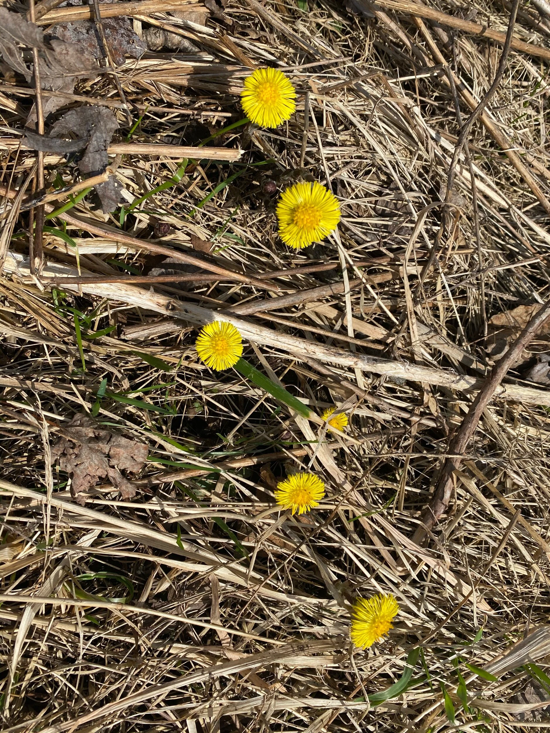 Spring is Here!